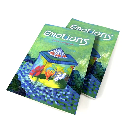 Emotions , unrecognised and Plural (2023)